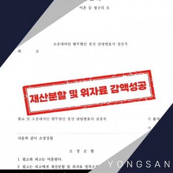 [민사] 재산분할 및 위자료 감액